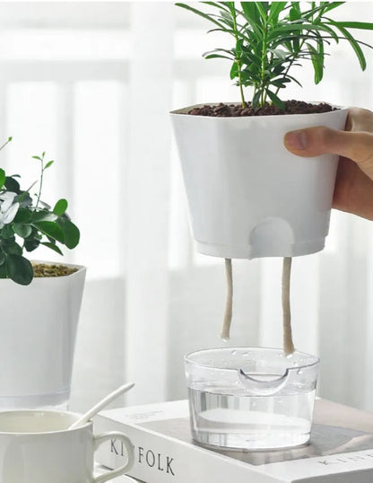 Optimal Plant Watering System for Hassle-Free Irrigation