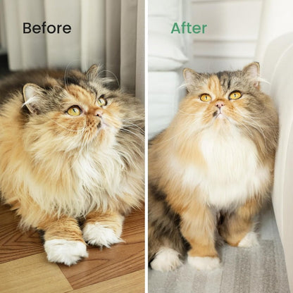 Instant Fur Control for a Clean, Happy Pet