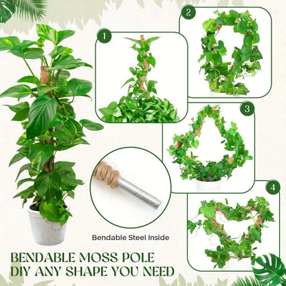 Large Coconut Plant Support Stick | Flexible Coir Support | Great for Monstera & Climbing Plants