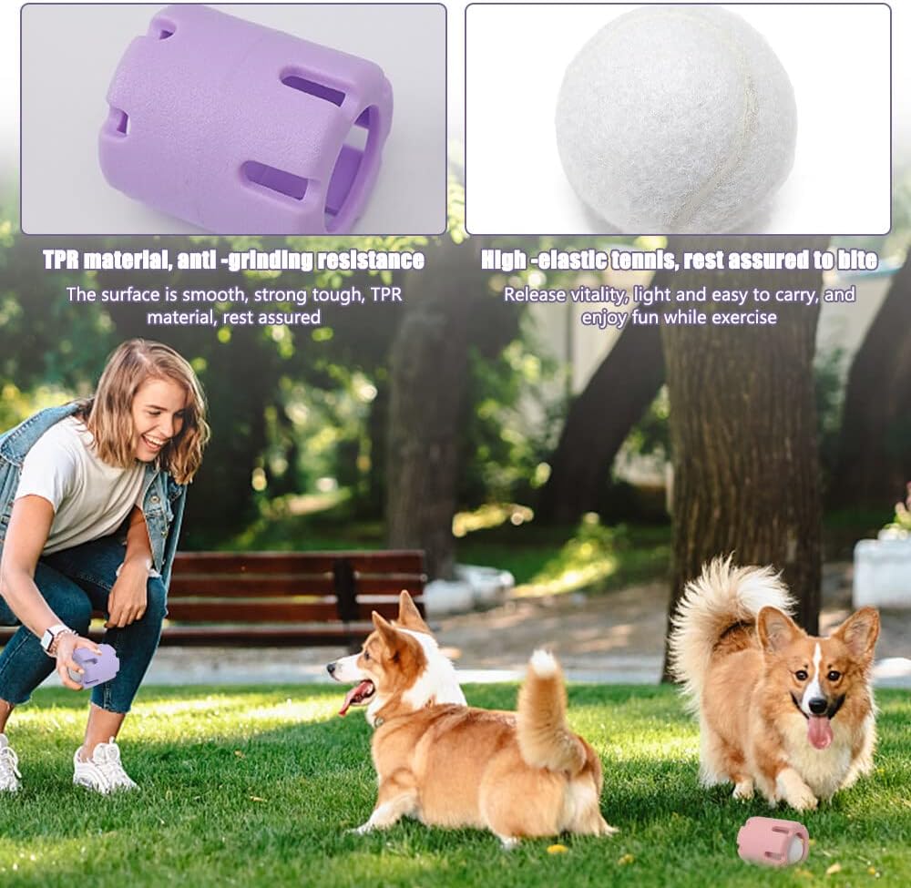 Enhance Your Dog's Energy, Dental Health, and Happiness