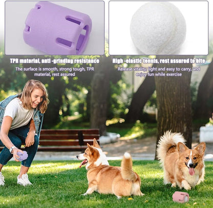 Enhance Your Dog's Energy, Dental Health, and Happiness