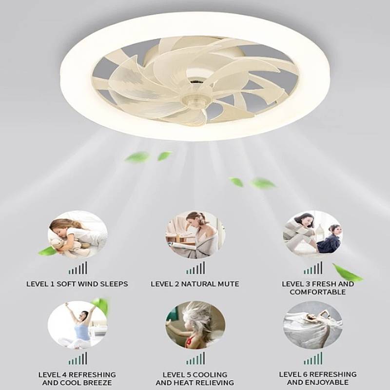 Contemporary Ceiling Fan Featuring Integrated LED Lighting