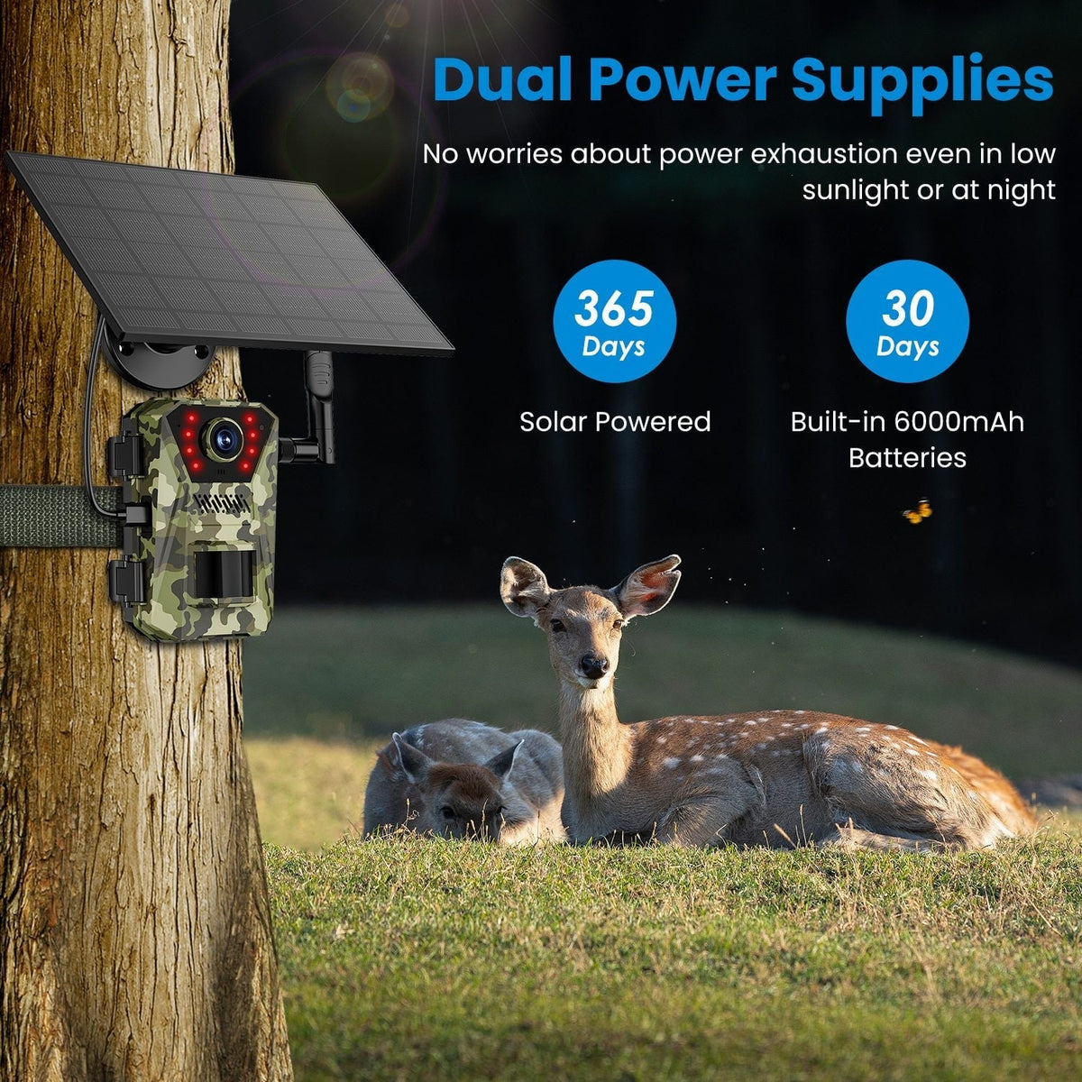 Solar-Powered Wildlife Surveillance Camera with 4K Vision