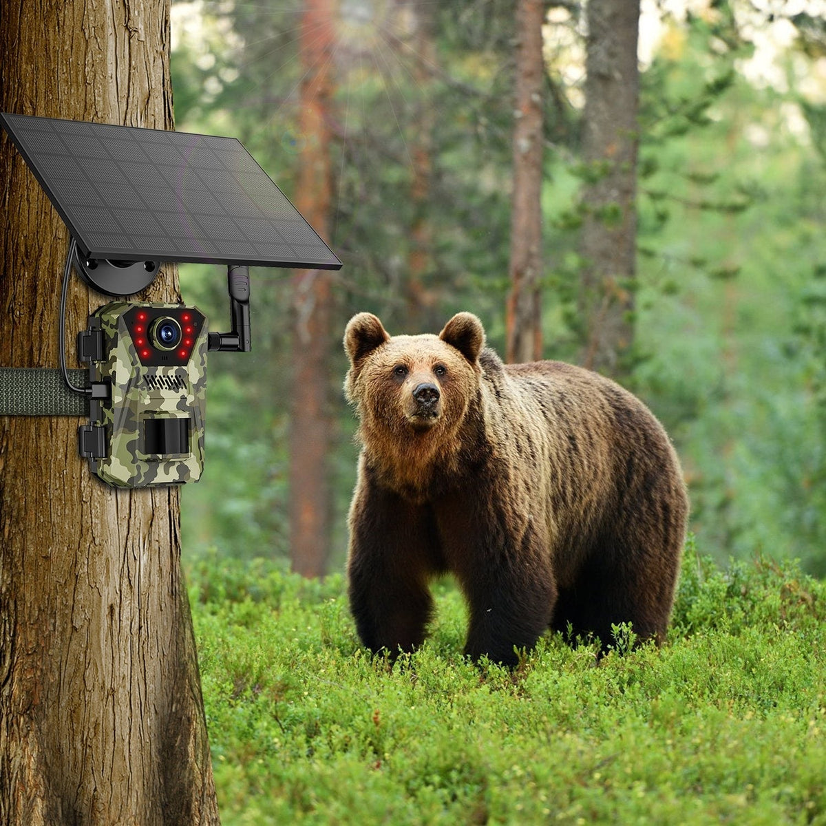 Solar-Powered Wildlife Surveillance Camera with 4K Vision