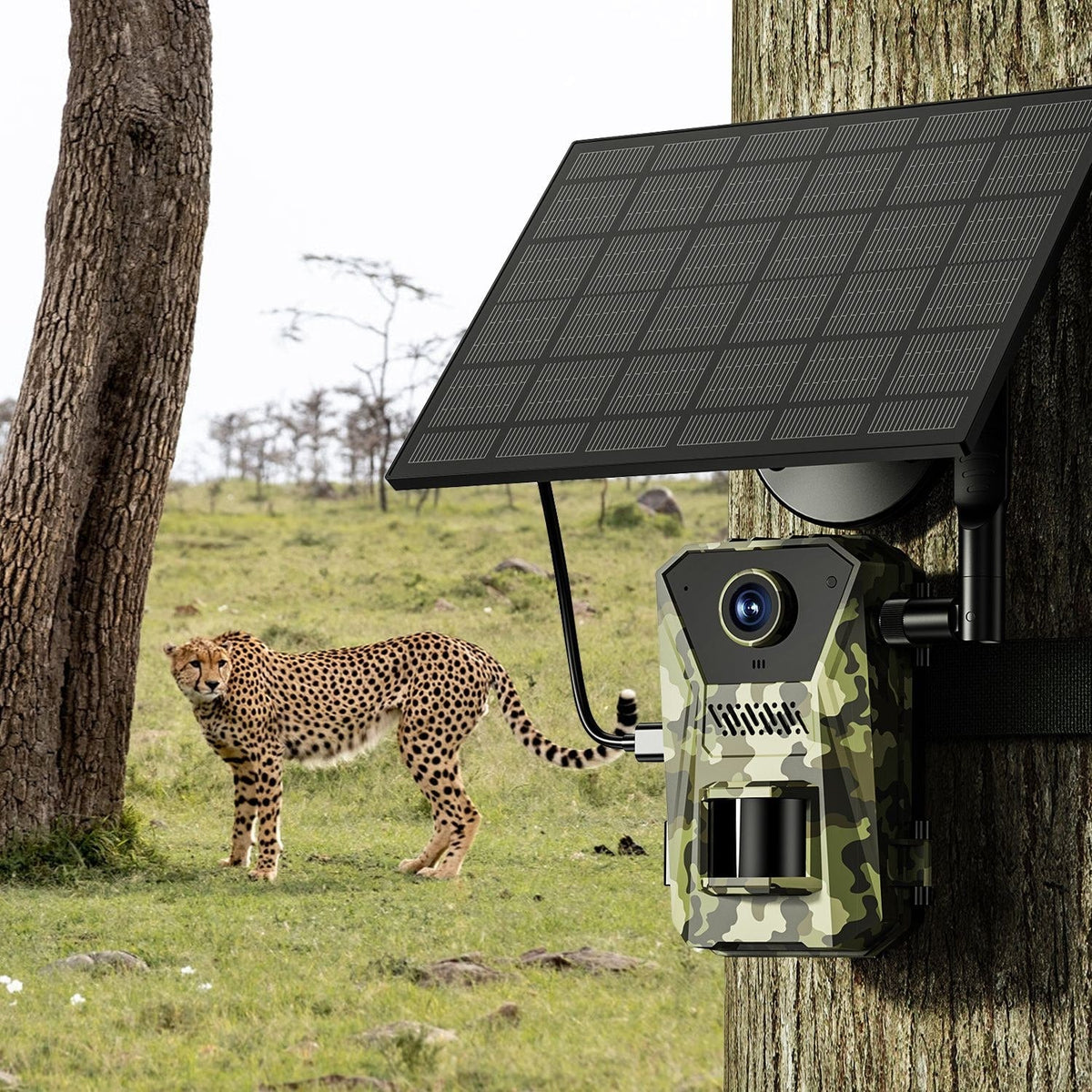 Solar-Powered Wildlife Surveillance Camera with 4K Vision