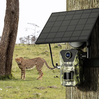Solar-Powered Wildlife Surveillance Camera with 4K Vision
