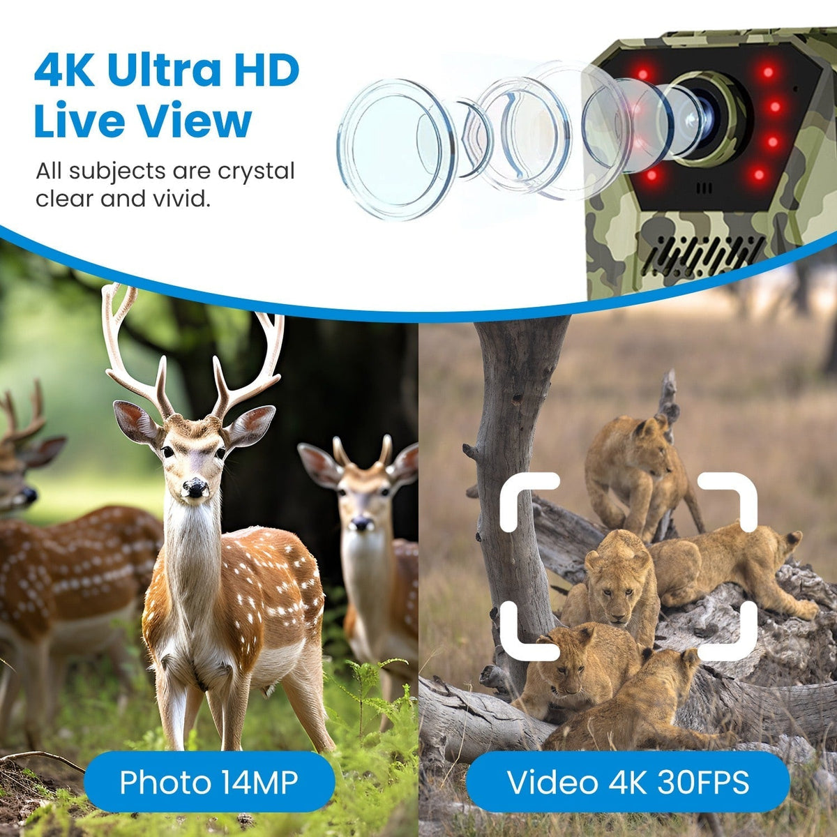 Solar-Powered Wildlife Surveillance Camera with 4K Vision