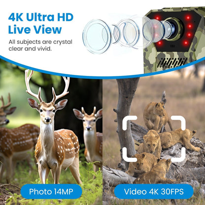 Solar-Powered Wildlife Surveillance Camera with 4K Vision