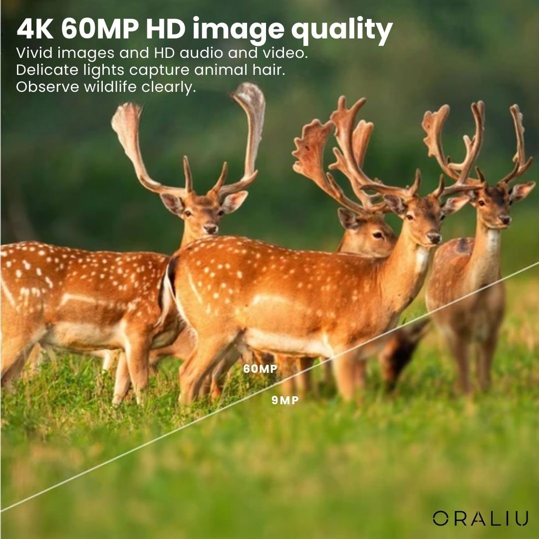 4K Cellular Wildlife Camera with Night Vision for Remote Surveillance