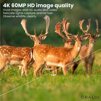 4K Cellular Wildlife Camera with Night Vision for Remote Surveillance