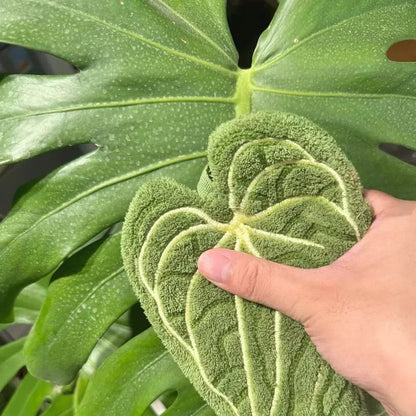 Tropical Leaf Towel | Highly Absorbent | Quick Dry | 100% Polyester