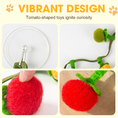 Buy One Get One Free | Keeps Your Cat Active, Happy, and Playful Daily
