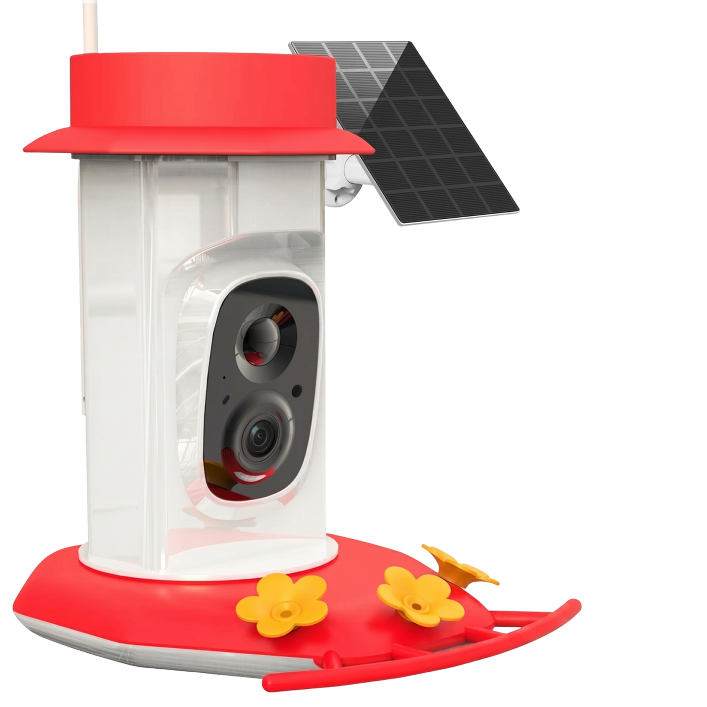 Bird Feeding Station with Multiple Perches and Seed Tray