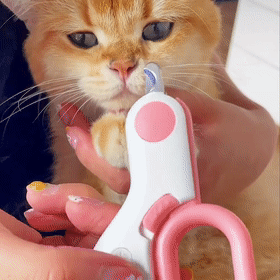 BrightClaw™ LED Pet Nail Clippers for Safe Grooming