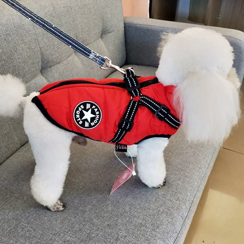 All-Weather Dog Coat with Built-in Safety Harness for Winter