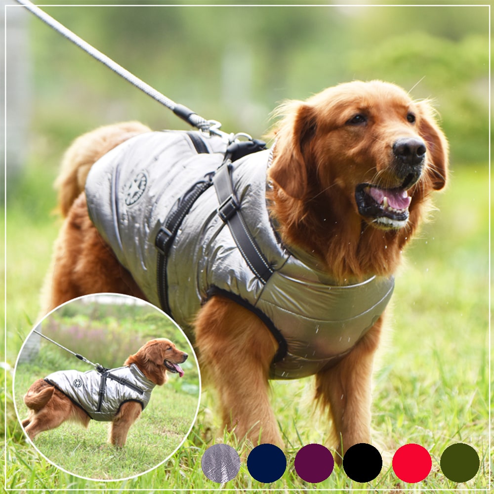 All-Weather Dog Coat with Built-in Safety Harness for Winter