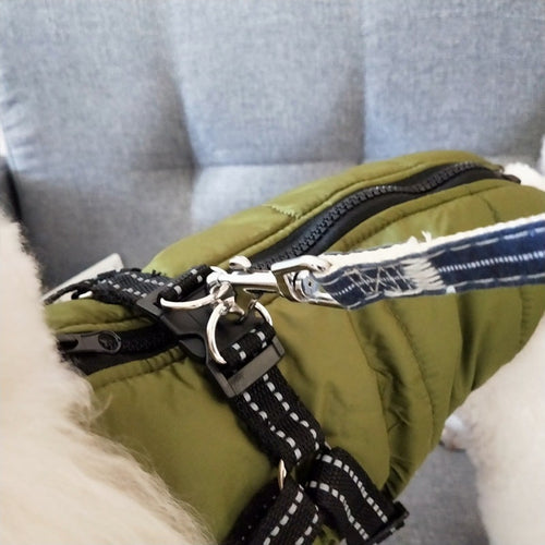 All-Weather Dog Coat with Built-in Safety Harness for Winter
