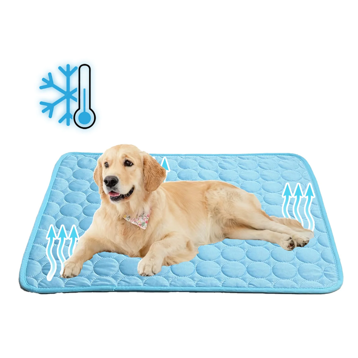 Travel-Friendly Chilling Mat for Your Furry Friends
