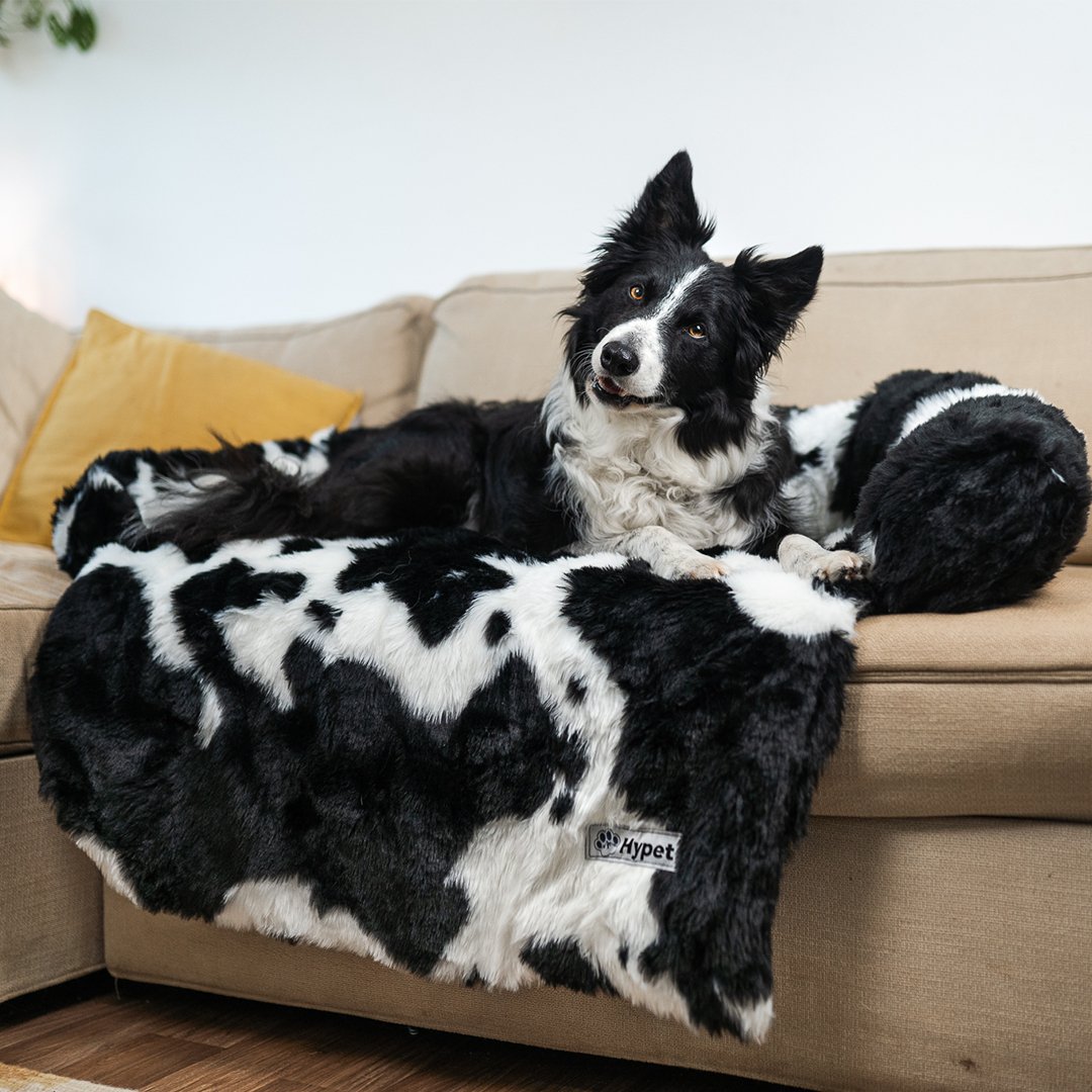 Washable, Warm, and Waterproof Autumn Cushion for Your Dog