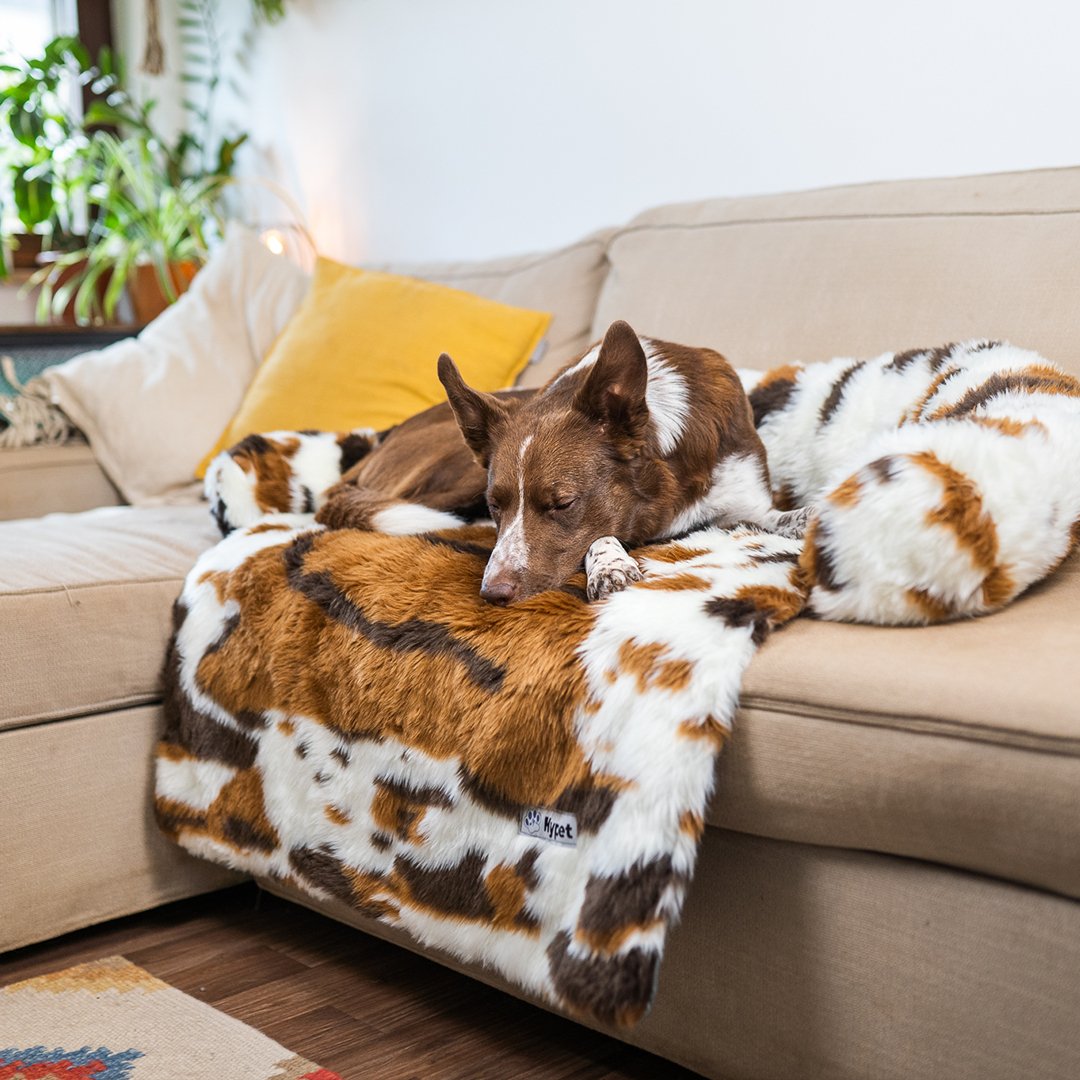 Washable, Warm, and Waterproof Autumn Cushion for Your Dog