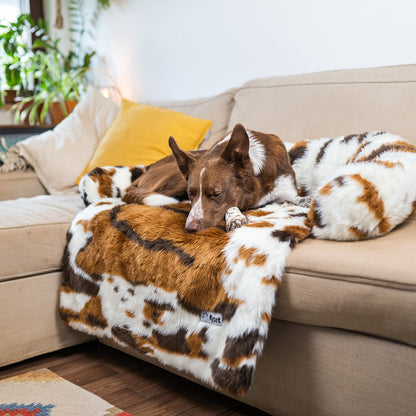 Washable, Warm, and Waterproof Autumn Cushion for Your Dog