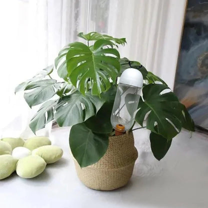 500 ml Automatic Watering System | Self-Watering Drip Irrigation for Potted Plants