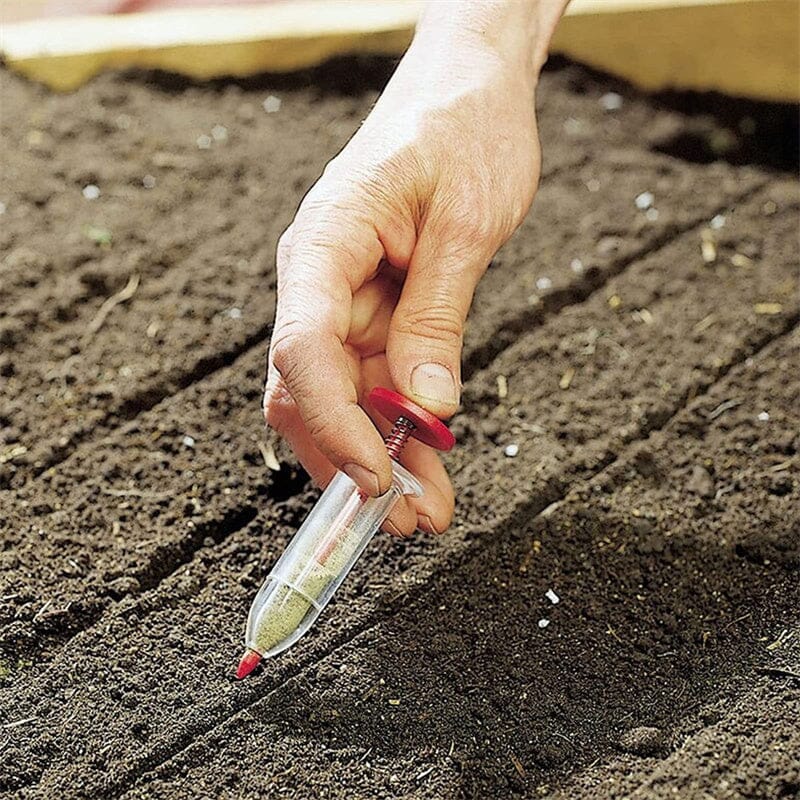 Buy One, Get One Free | Easy Plant Care Made Simple