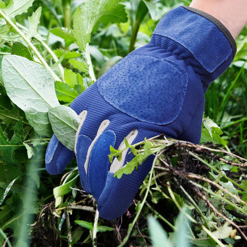 Cut and Scratch Protection for Gardening – Anti-Thorn Solution