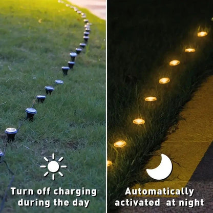 Solar LED Garden Path Lights | 15/30 LEDs | 8 Lighting Modes | IP65 Waterproof Outdoor Lamps