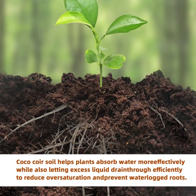 Eco-Friendly Coconut Fiber Growth Medium for Plants