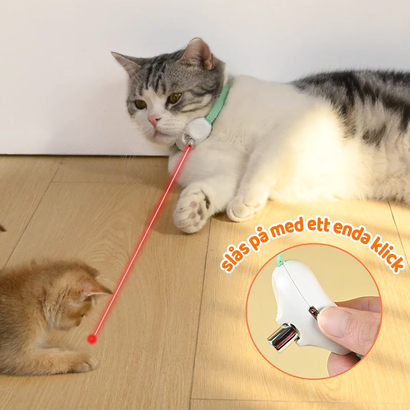 Buy One Get One Free | Keep Your Cat Active and Entertained All Day