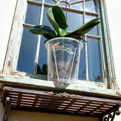 Transparent Self-Watering Plant Pots – Set of 5 with Drainage Holes
