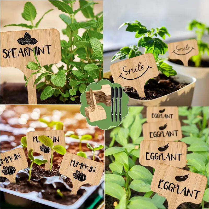 Reusable Wooden Plant Care Labels – Never Forget Your Plants