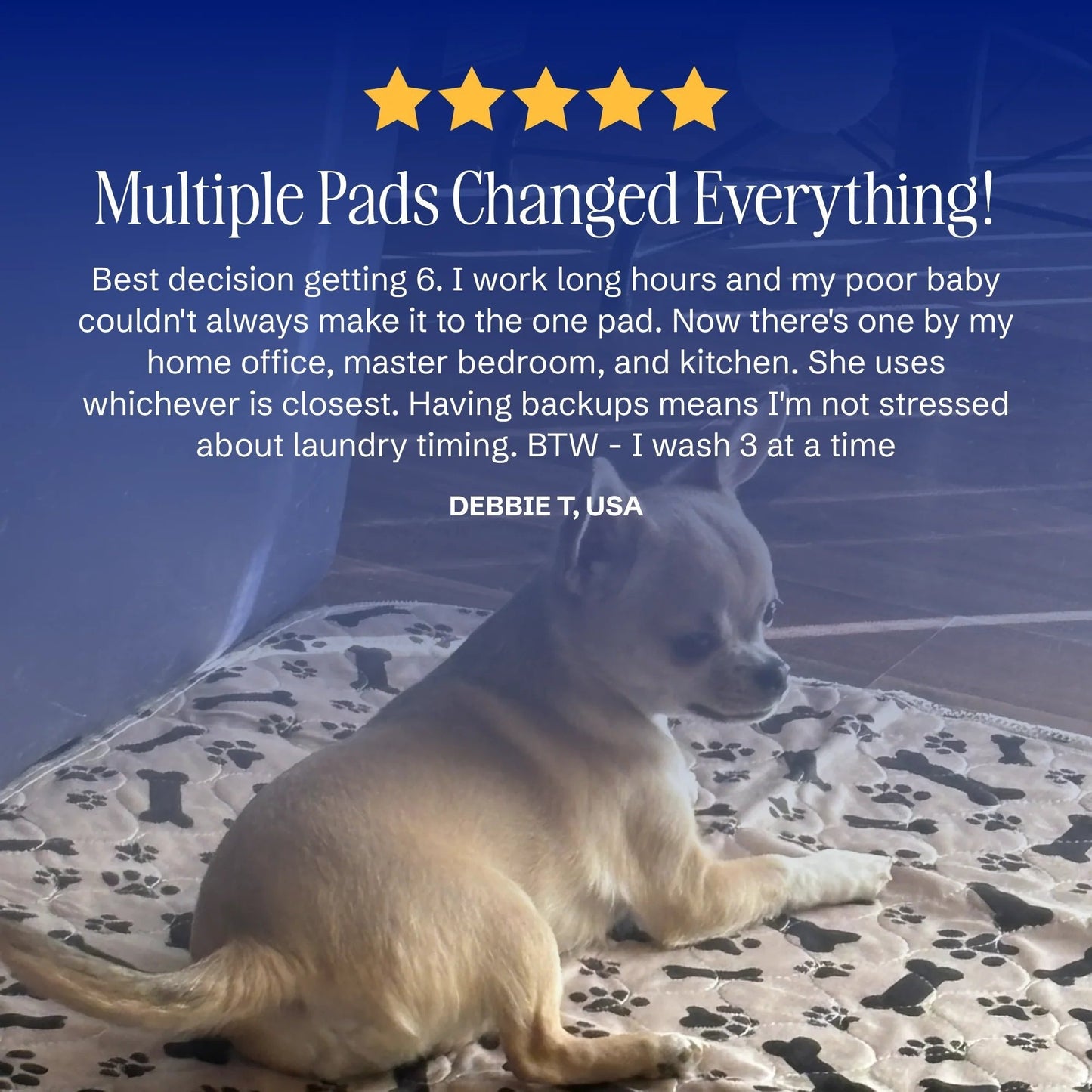 Leakproof Pet Pads to Keep Your Floors Spotless
