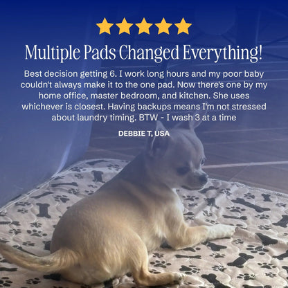 Leakproof Pet Pads to Keep Your Floors Spotless