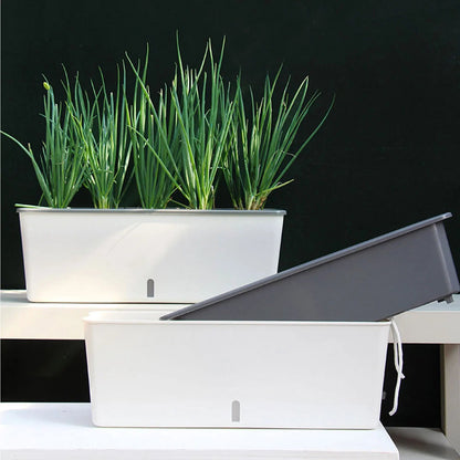 Self-Watering Plant Pot with Water Level Indicator | 43.5 cm | Dual Chamber Design