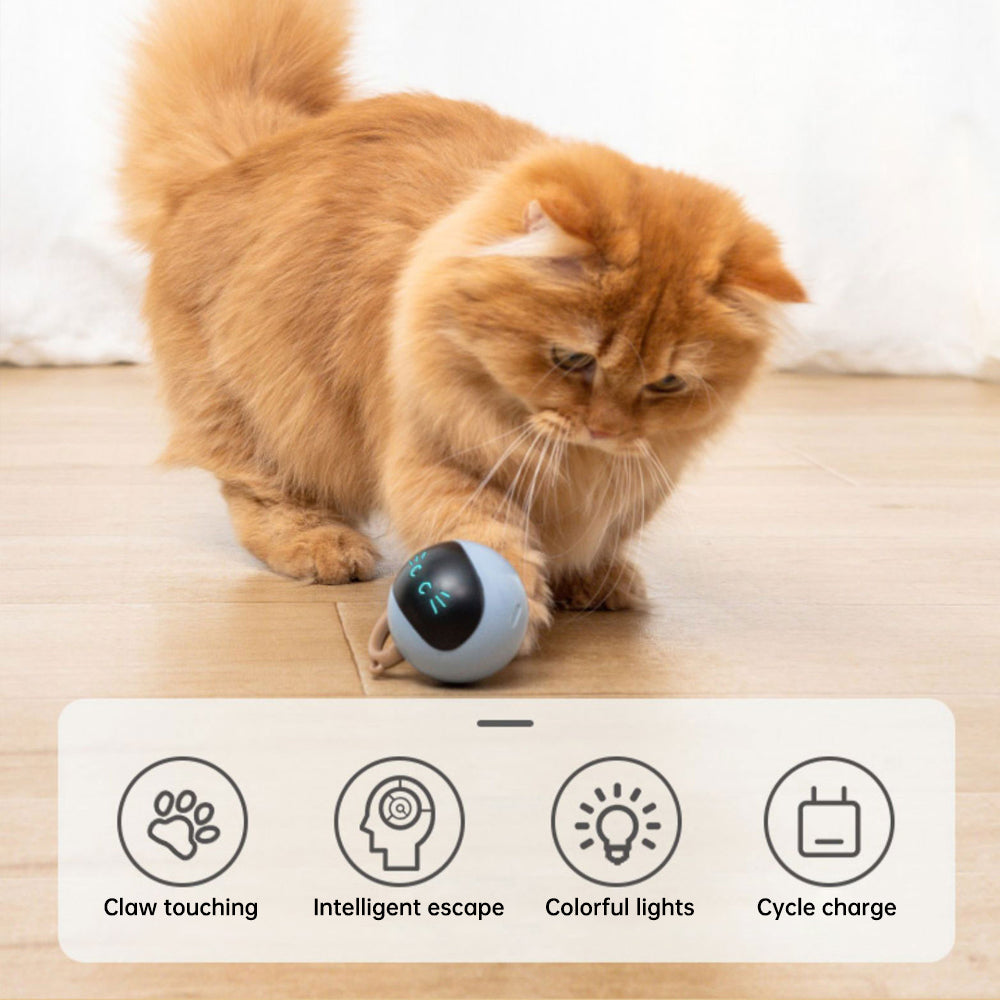 Electronic Toy for Cats