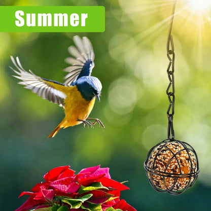Bird Food Ball Set with Metal Chain | Pack of 4 | Iron | Diameter 7 cm