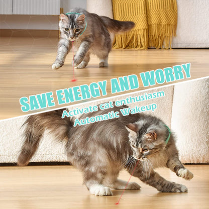 Keep Your Cat Healthy, Happy, and Energetic Every Day