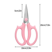 Pink-2