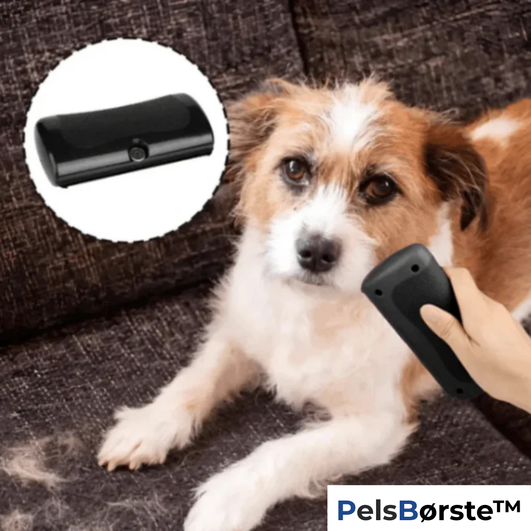 Effortlessly Stop Hair Loss and Fleas for a Cleaner Home