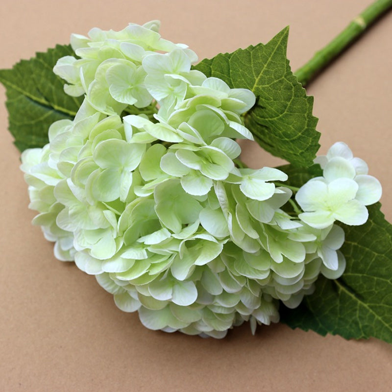 Forever Lively Flowers Without Maintenance - Hydrangea Decoration