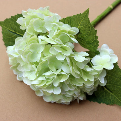 Forever Lively Flowers Without Maintenance - Hydrangea Decoration
