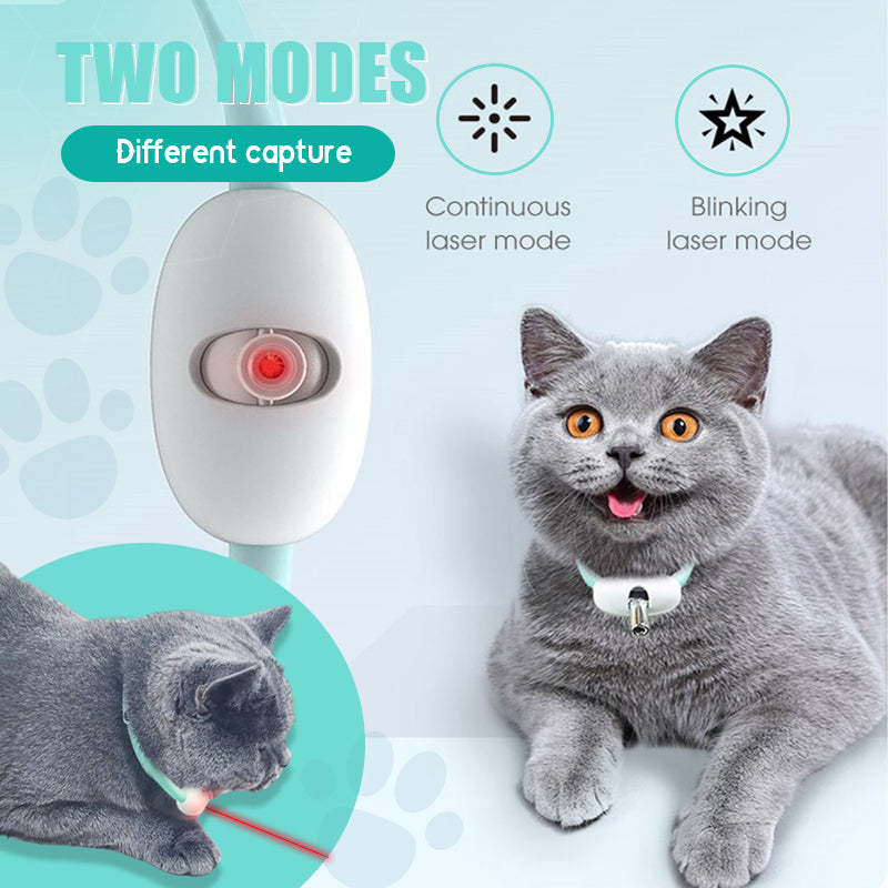 Keep Your Cat Healthy, Happy, and Energetic Every Day