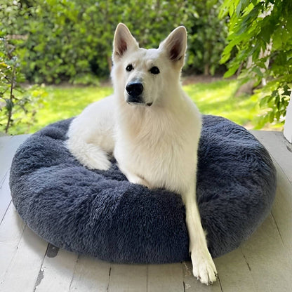 Dog Bed for Relaxation and Comfort