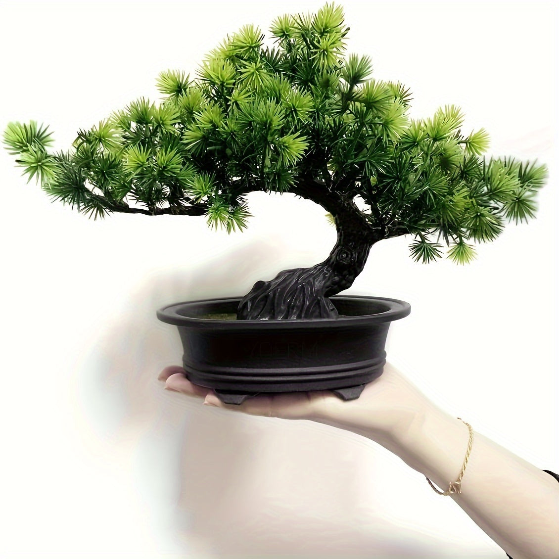 Bonsai Tree 24 cm | Evergreen and Low-Maintenance | Includes Black Pot