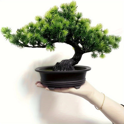 Bonsai Tree 24 cm | Evergreen and Low-Maintenance | Includes Black Pot