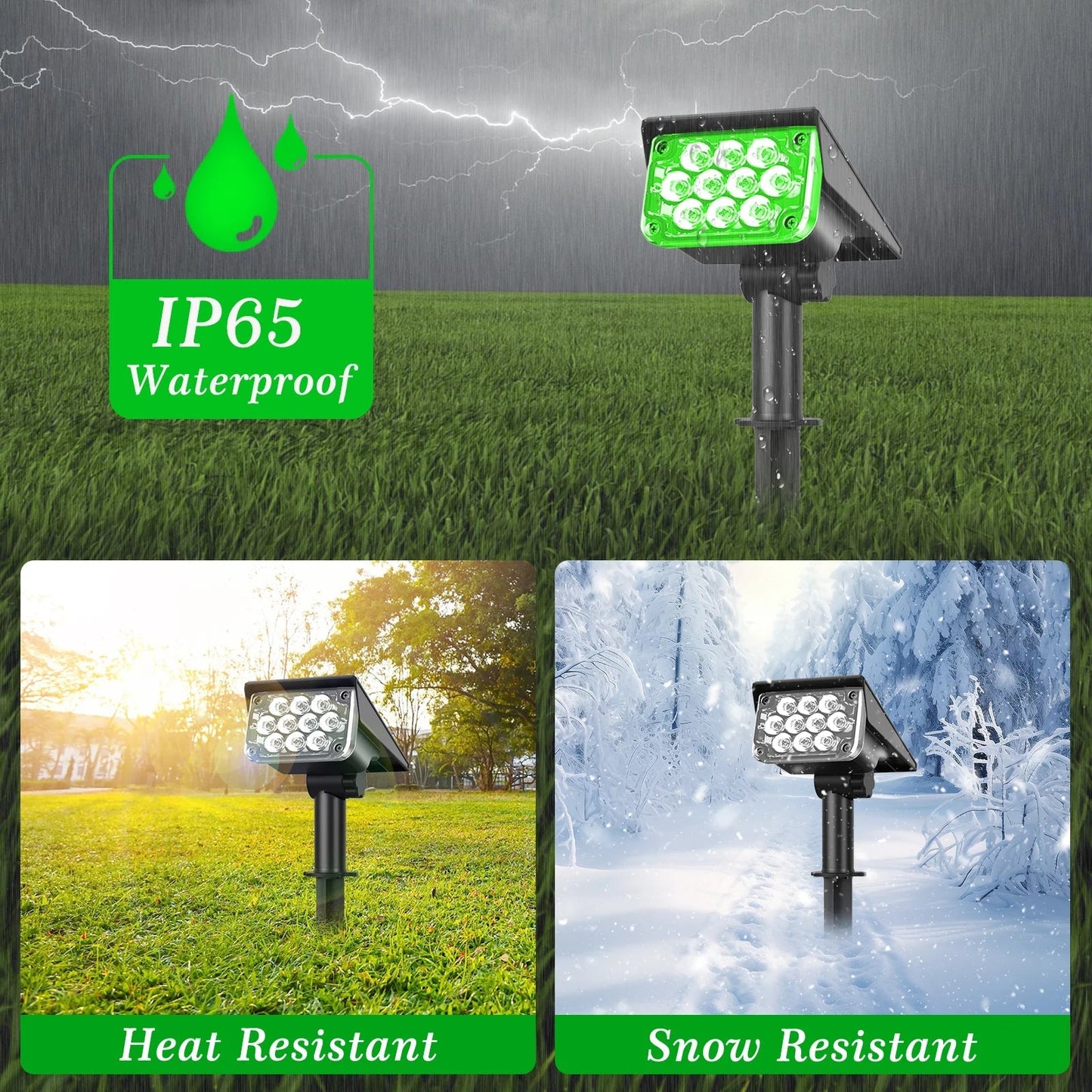 Solar LED Garden Light in Green | Waterproof IP65 | Outdoor Wall & Lawn Lighting