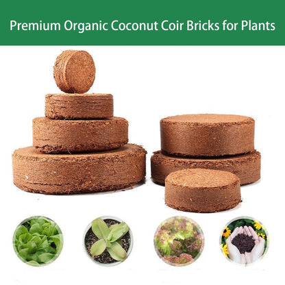 Eco-Friendly Coconut Fiber Growth Medium for Plants