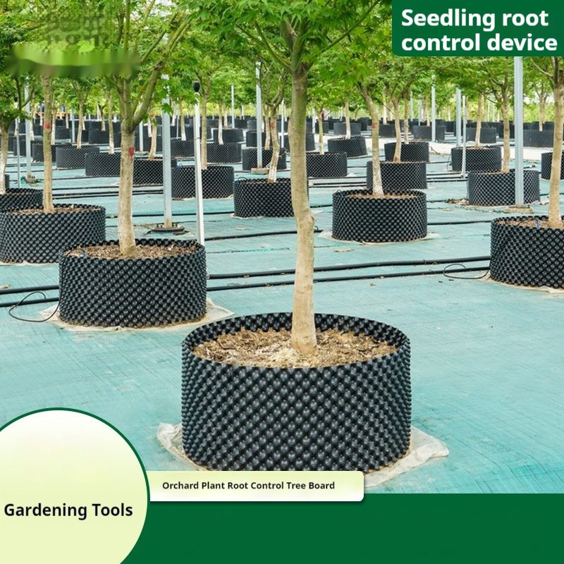 Enhanced Root Growth Solution for Flourishing Plants